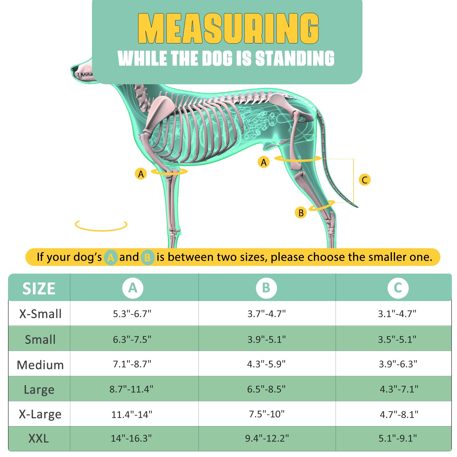 Lyderpet attelle genou chien: six ressorts métalliques assurant un soutien stable.