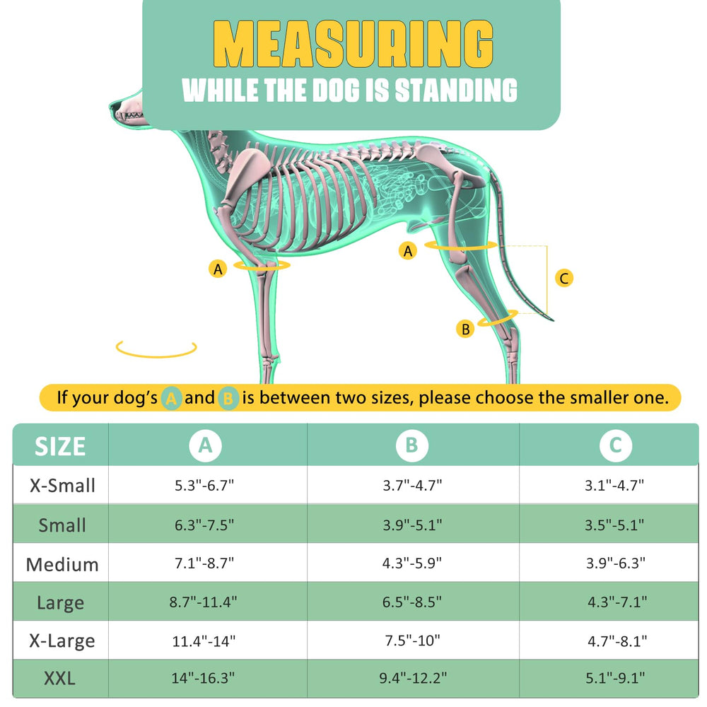 Lyderpet attelle genou chien: six ressorts métalliques assurant un soutien stable.