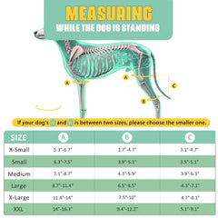Lyderpet attelle genou chien: six ressorts métalliques assurant un soutien stable.