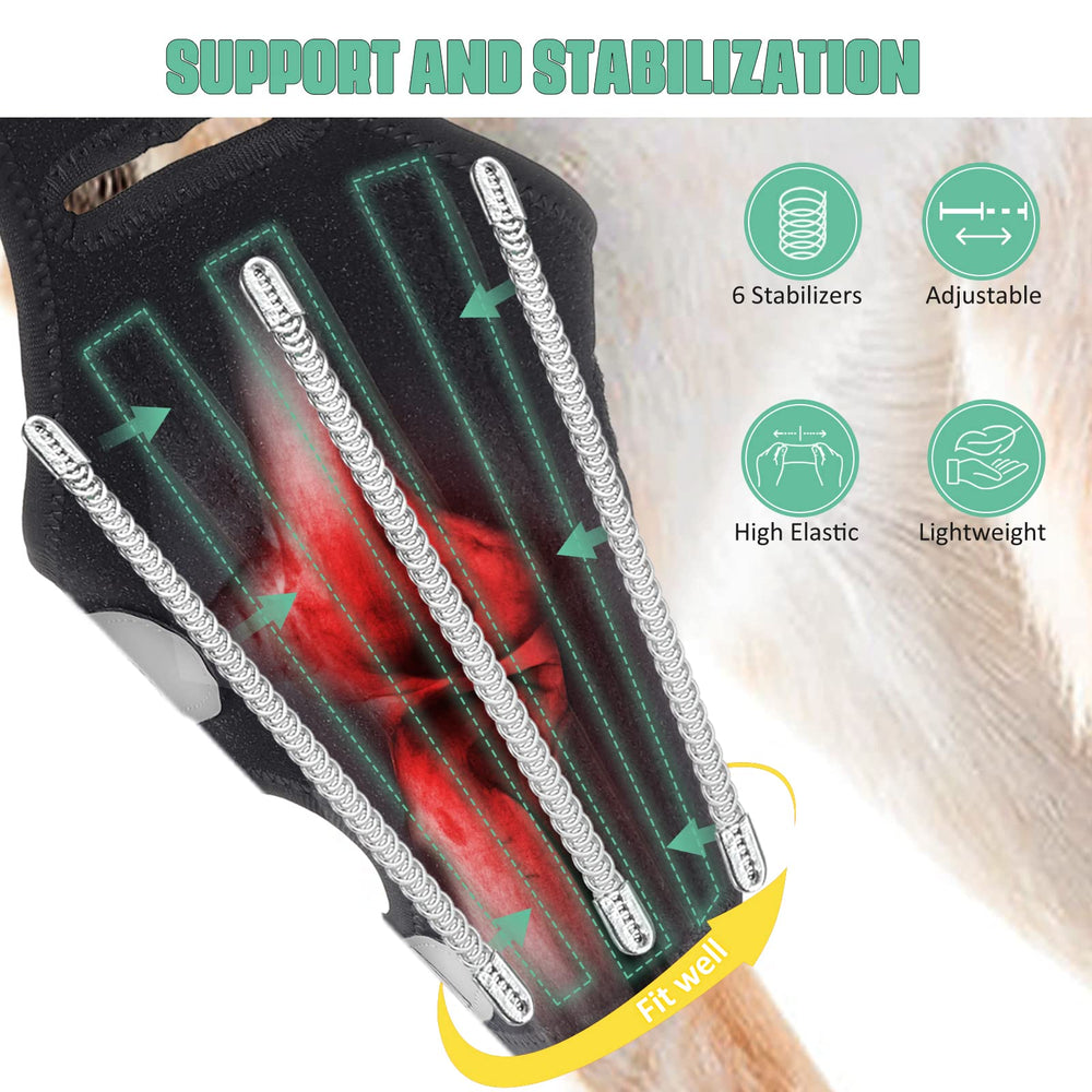 Lyderpet attelle genou chien: sangles ajustables pour un ajustement sûr.
