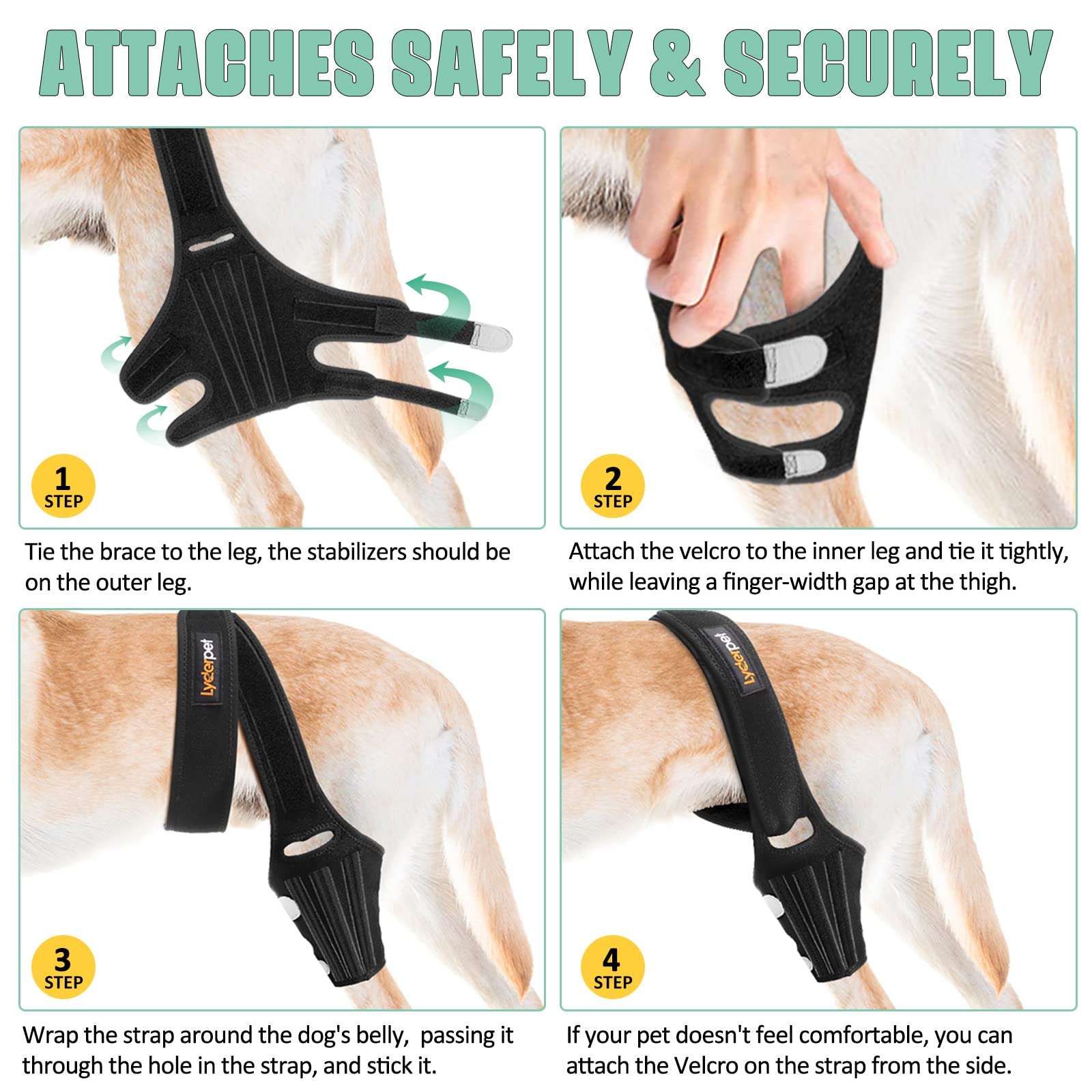 Lyderpet attelle genou chien: stabilisation articulatoire pour un mouvement fiable.