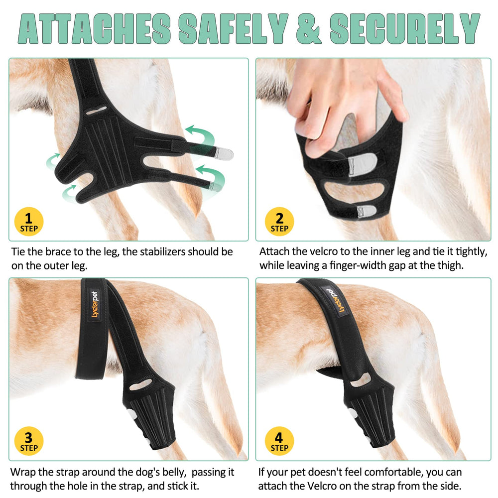 Lyderpet attelle genou chien: stabilisation articulatoire pour un mouvement fiable.