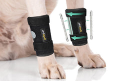 Lyderpet attelle patte avant confortable pour soutien stable.
