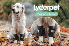 Lyderpet renfort carpe métalliques offrant stabilité lors de la marche.