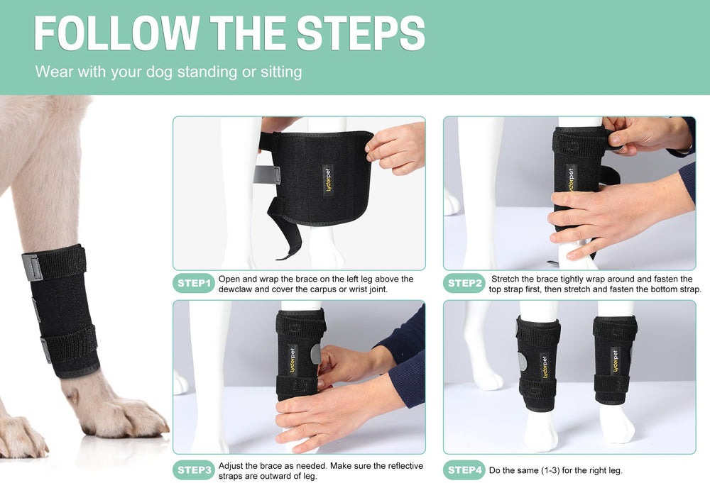 Lyderpet utilisation quotidienne du chien, facile à mettre et à retirer.