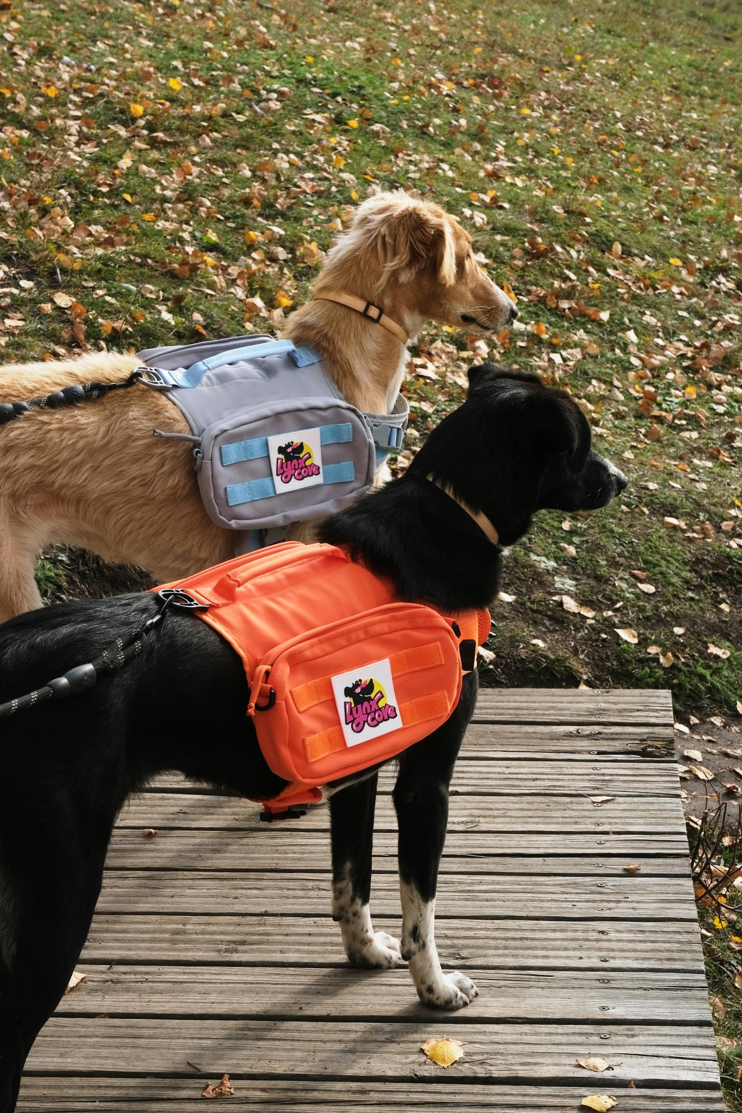 Lynxcore sac-dogbackpack-fermetures-securisees : fermetures fiables qui restent fermées en mouvement.