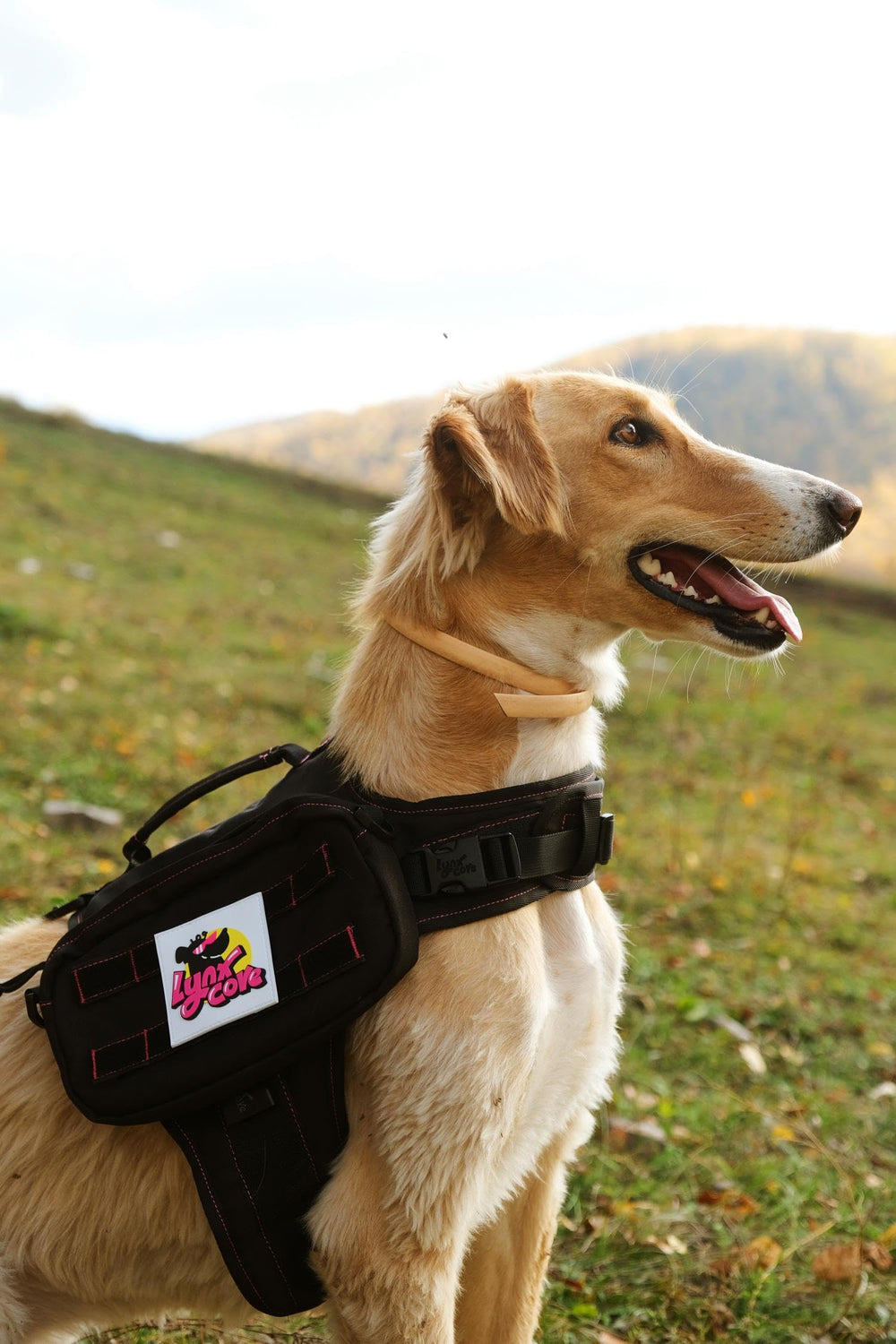 Lynxcore sac dos chien doublure mesh, respirant et agréable à porter.