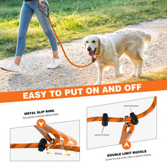 Lynxking Laisse Slip avec anneau métallique solide pour durabilité.