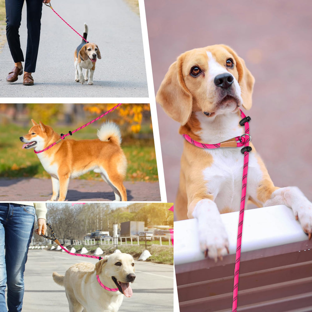 Lynxking Laisse Slip durable adaptée à toutes tailles de chien pour promenades quotidiennes