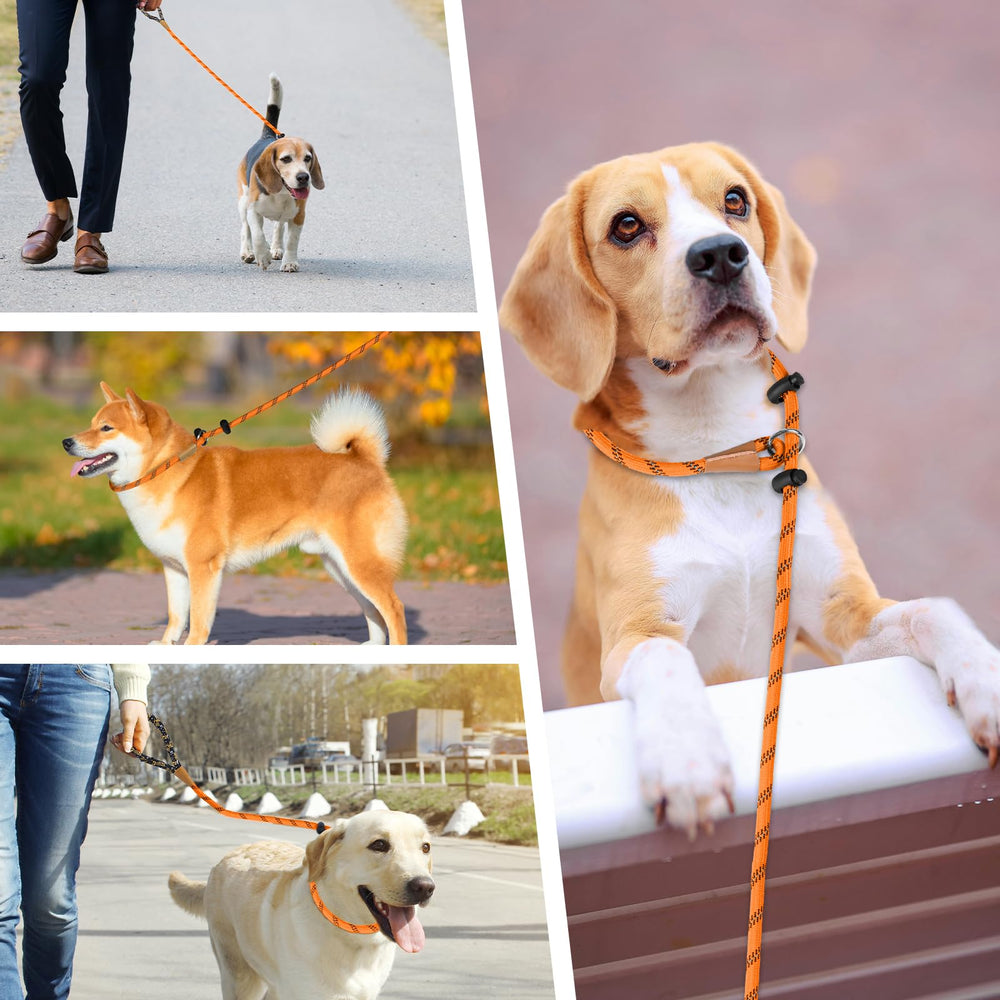 Lynxking Laisse Slip longueur adaptée pour chiens de toutes tailles.