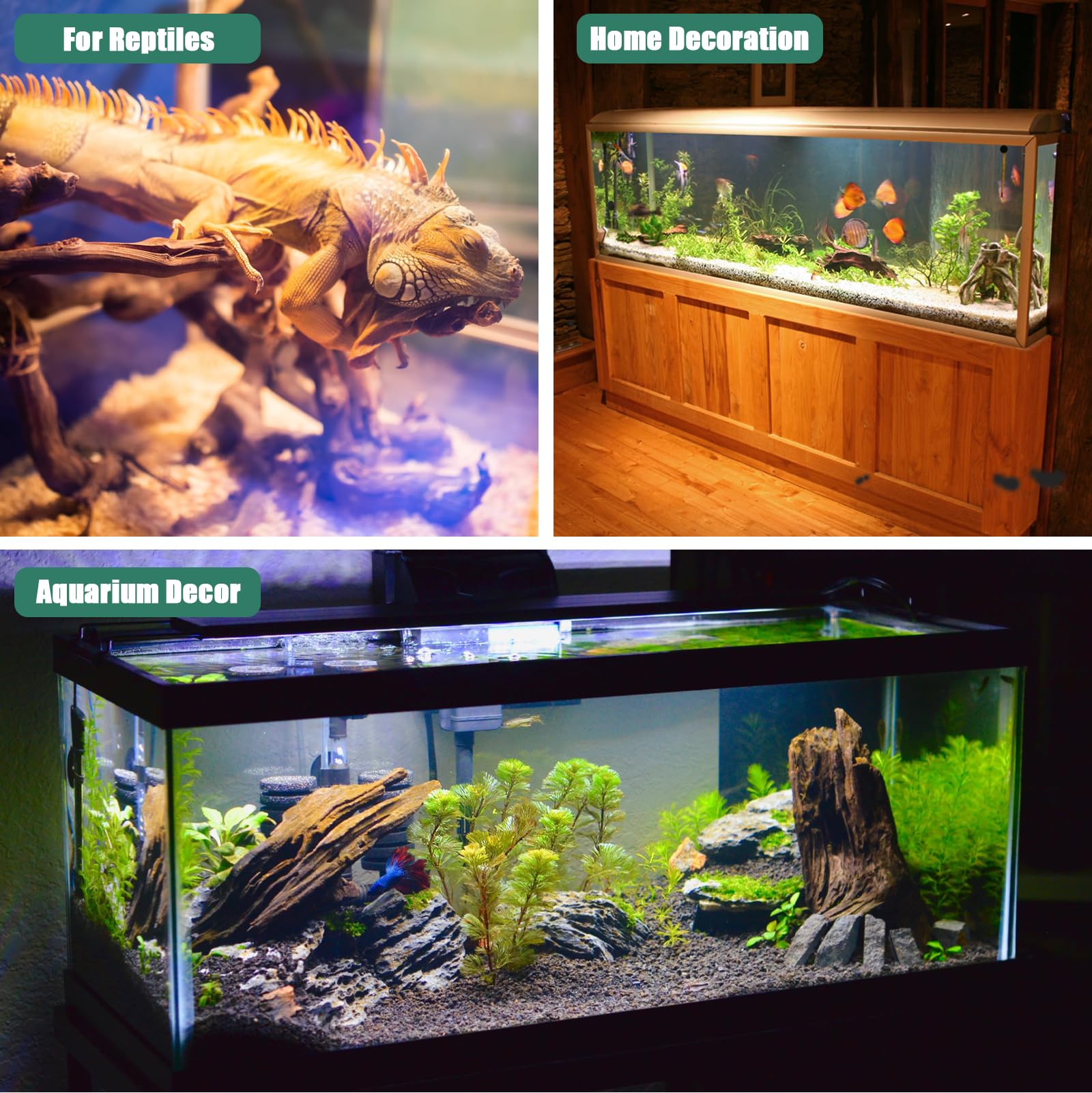 Bois flotté Lyphard Aquariums pré-traité prêt à l’emploi.
