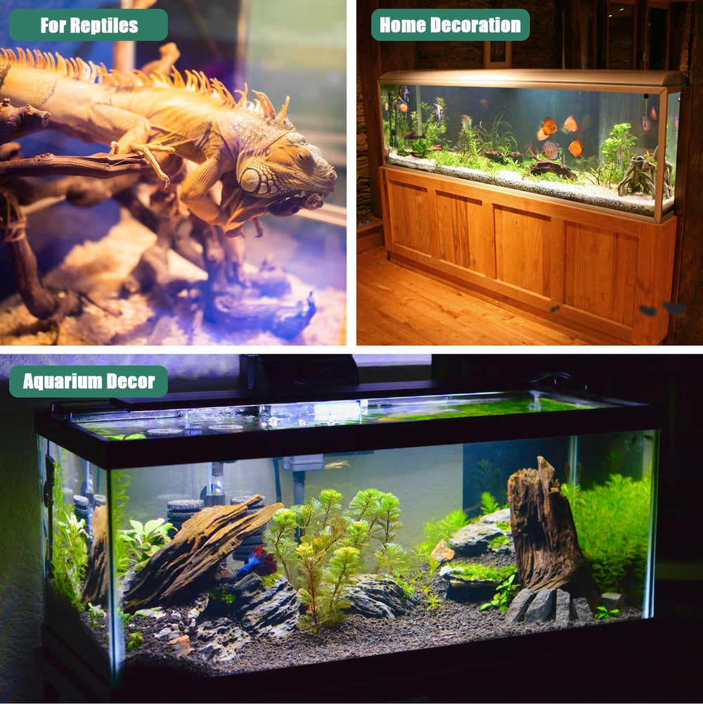 Bois flotté Lyphard Aquariums pré-traité prêt à l’emploi.