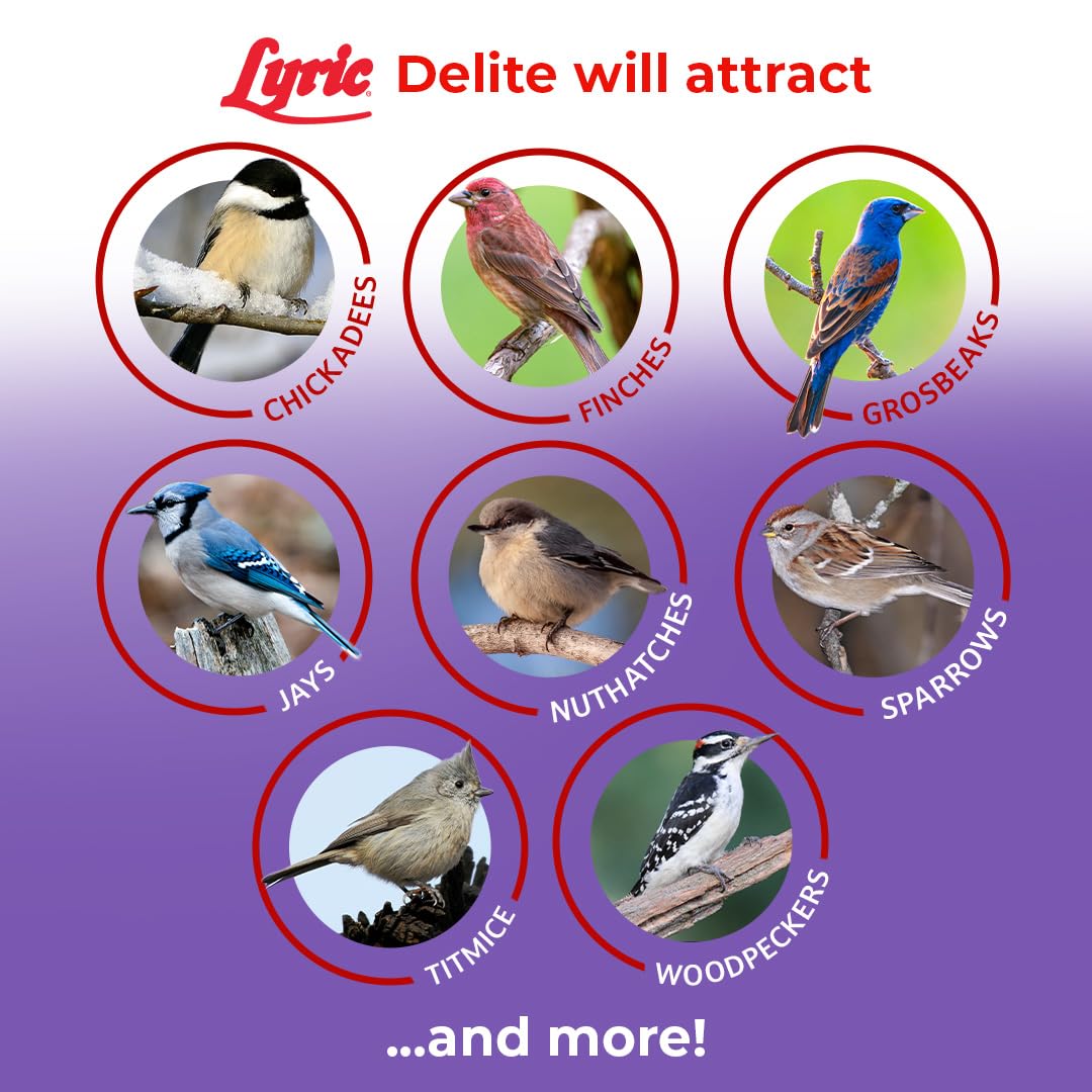 Lyric Delite : pistaches décortiquées comme source de protéines et de variété.