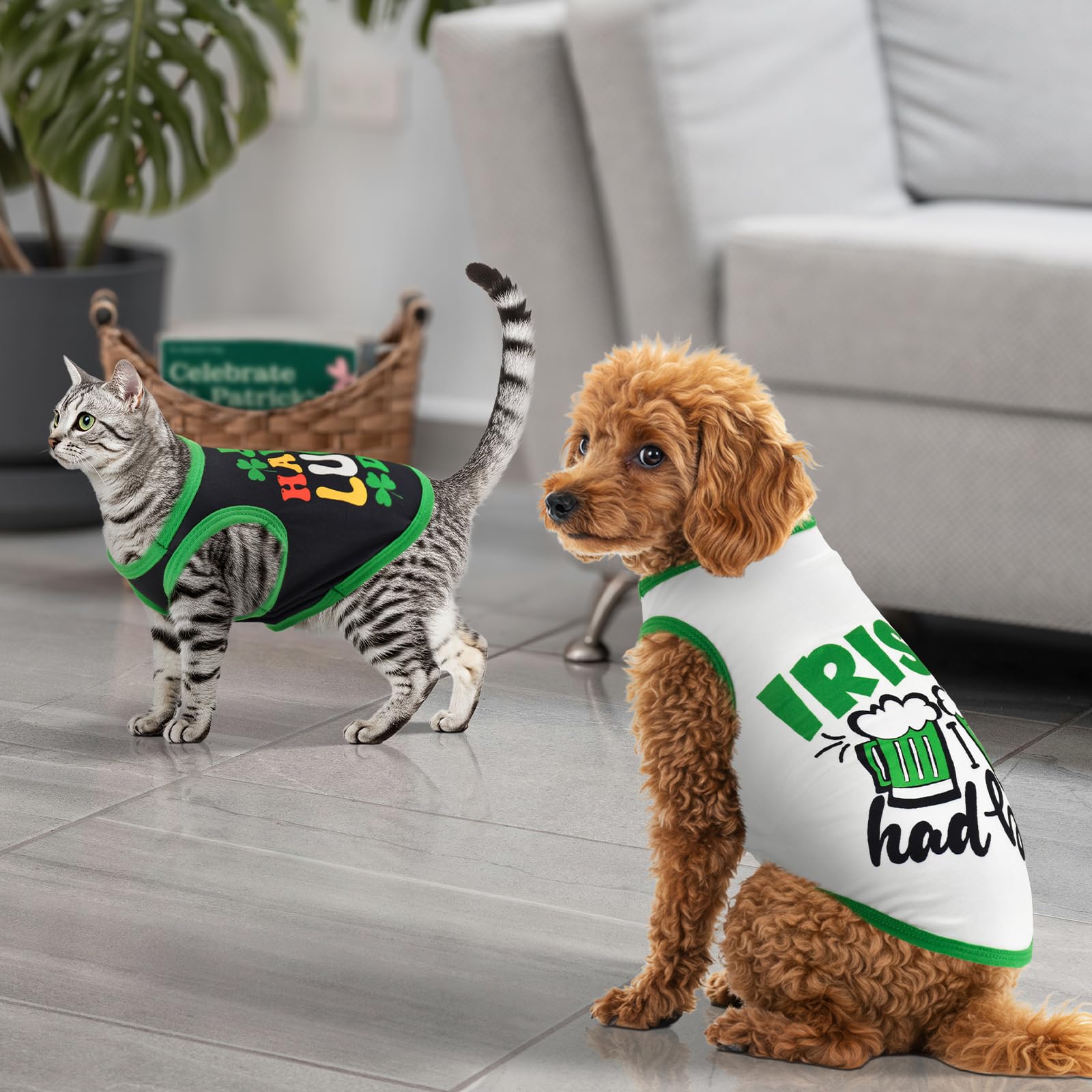 LyssKMK débardeur Saint-Patrick Paquet Quatre Designs, variété élégante.