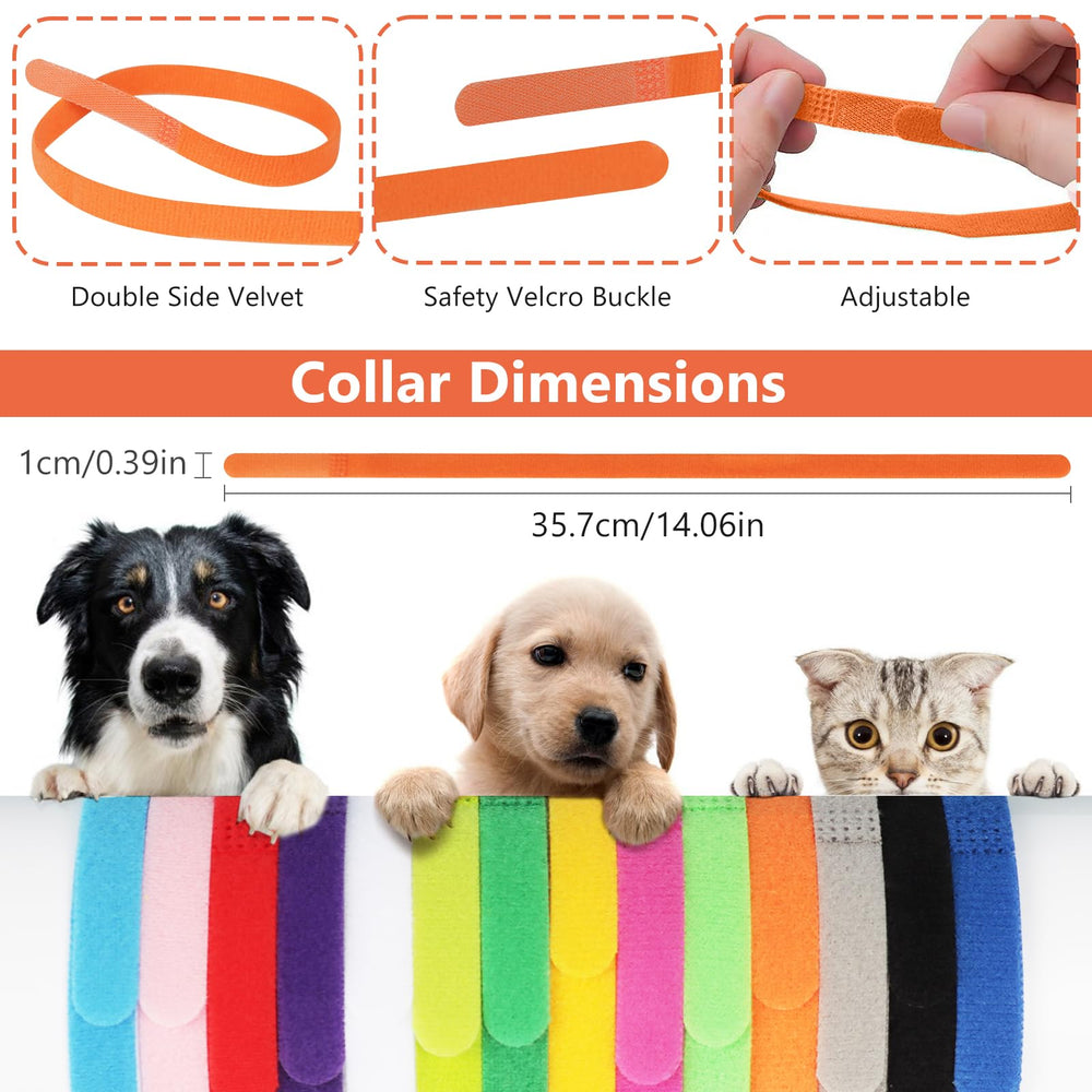 Mesure précise du poids des chiots et petits animaux avec LYTDMSKY.