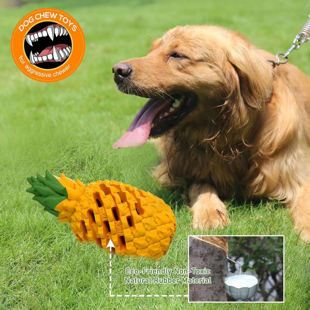 Jouet M.C.works dentition chien, aide au nettoyage des dents.