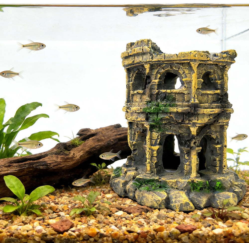 M2cbridge cachette colonne romaine, refuge sûr et ludique pour poissons