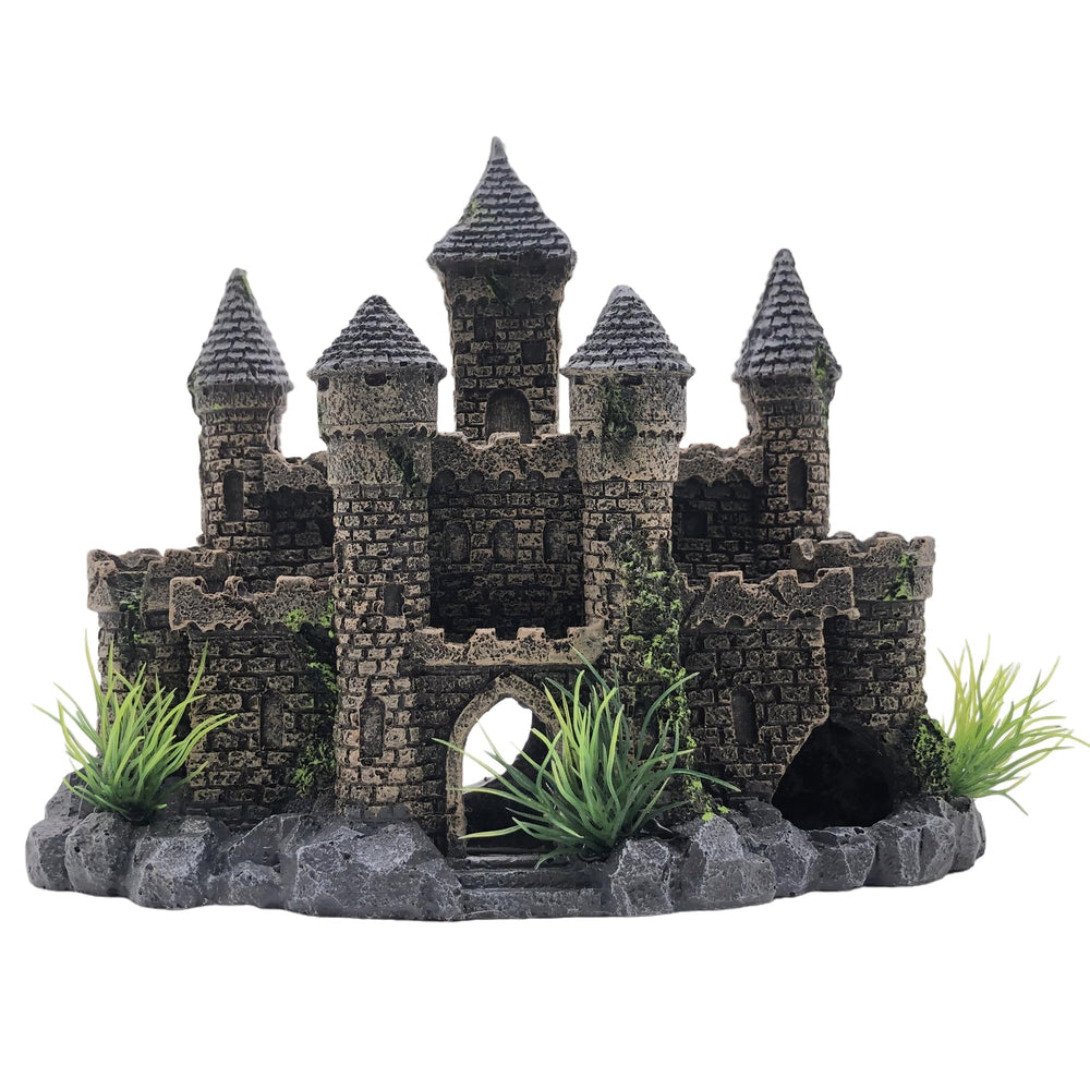 M2cbridge Château-épave pour aquarium, décor réaliste et captivant.