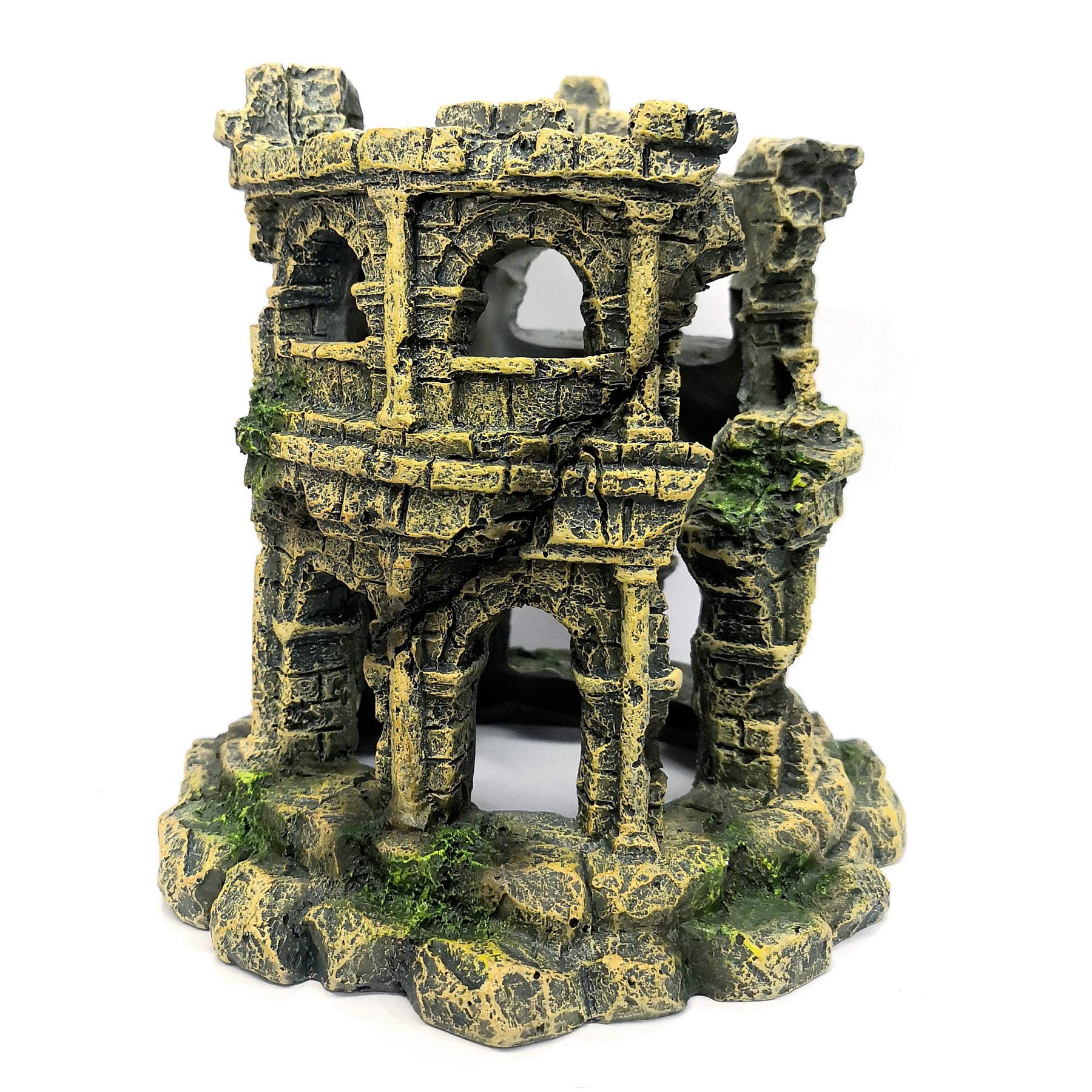 M2cbridge décor polyvalent, utile en terrariums et aquariums