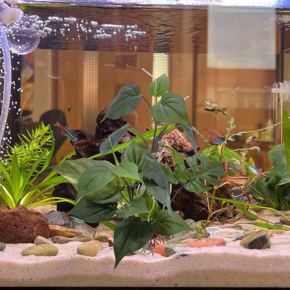 M2cbridge plante artificielle, décor premier plan vert, illumine le bac.