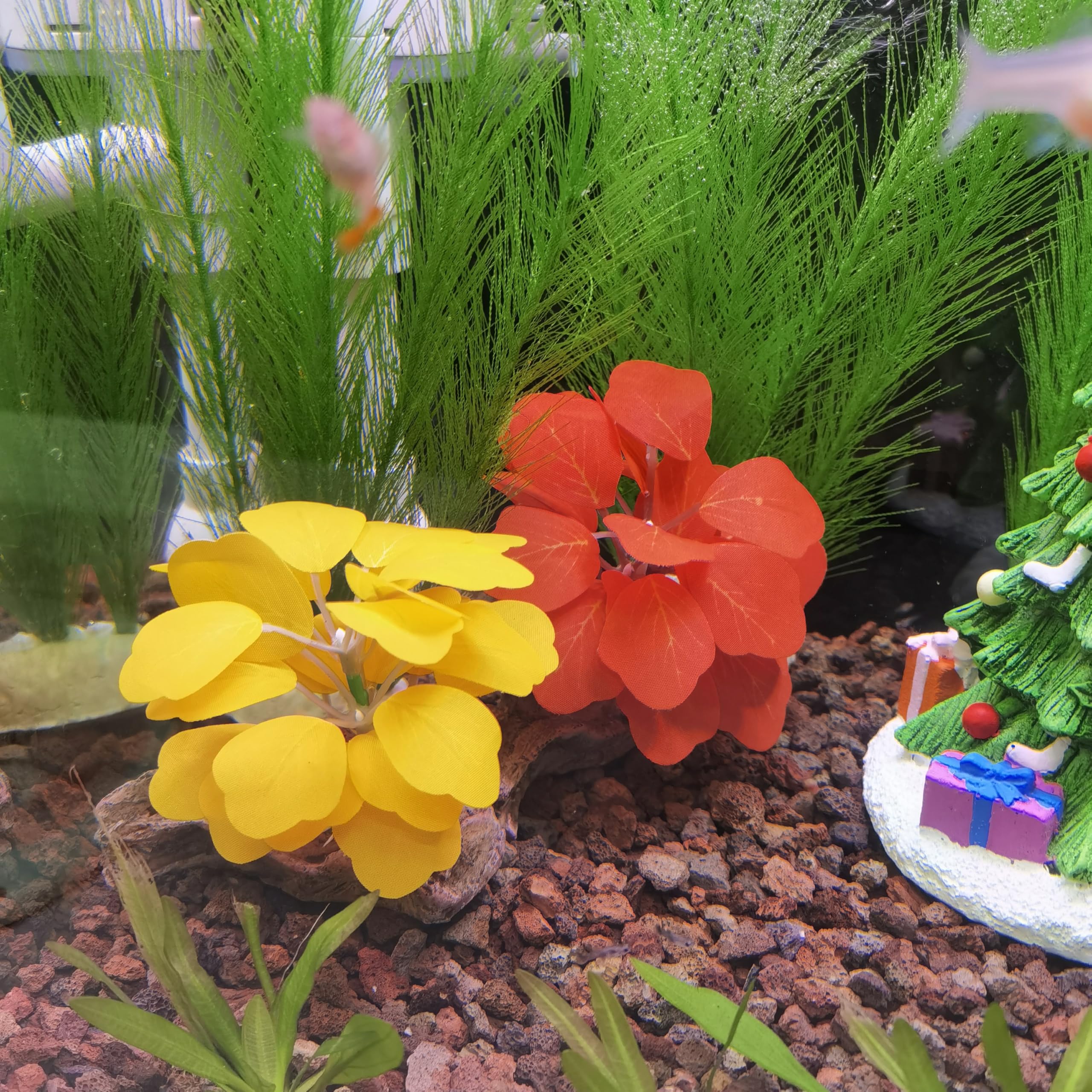 M2cbridge: plantes artificielles colorées pour écosystème visuel