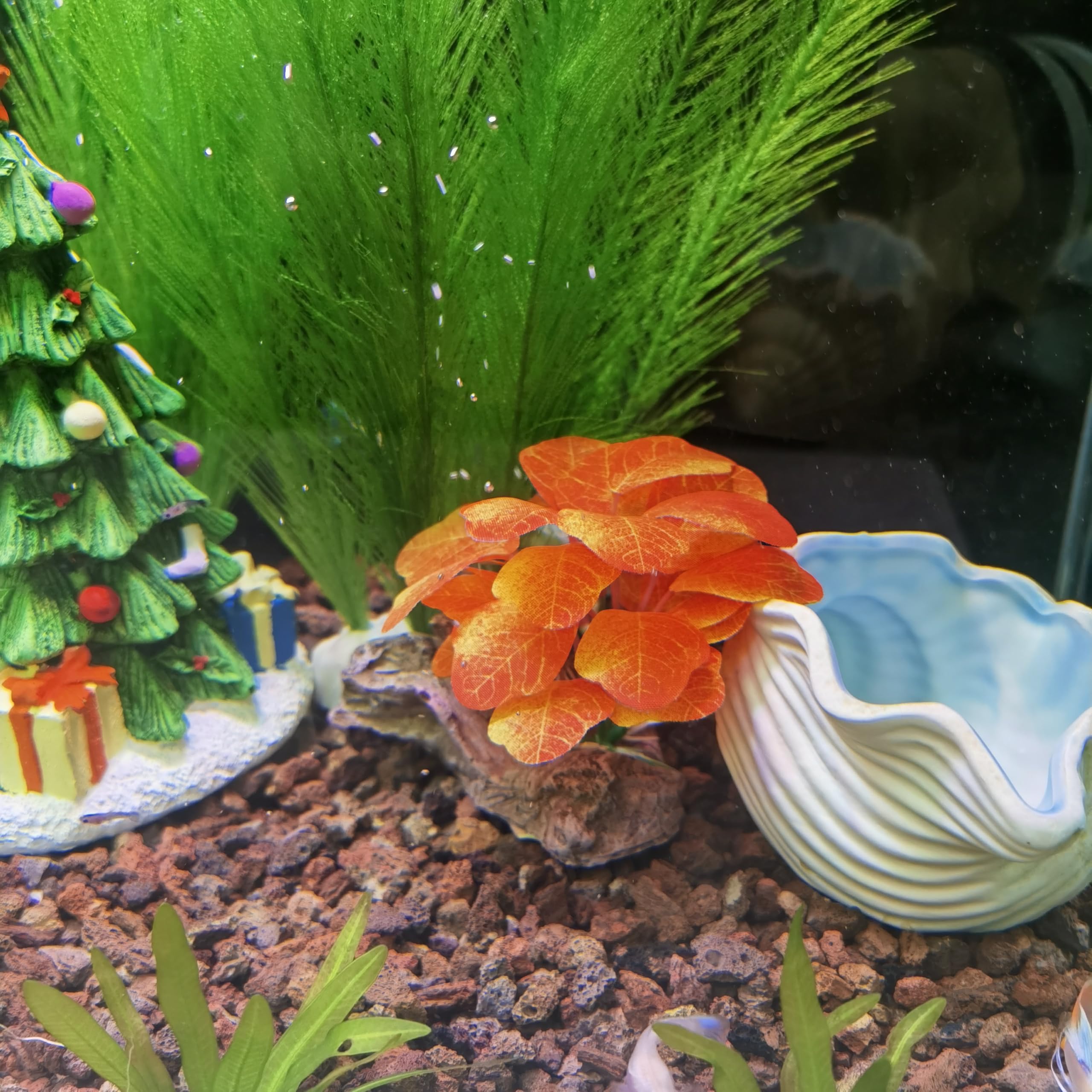 M2cbridge: ensemble prêt à installer pour embellir l'aquarium