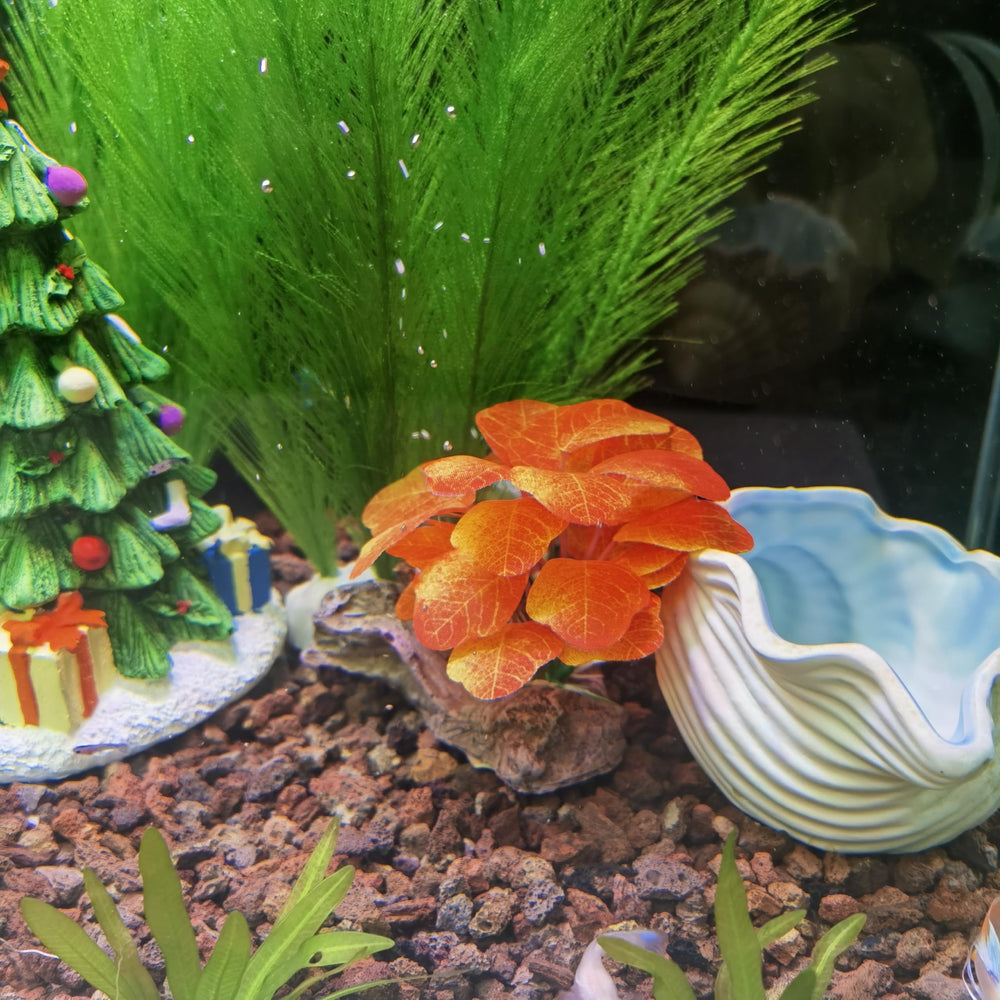 M2cbridge: ensemble prêt à installer pour embellir l'aquarium