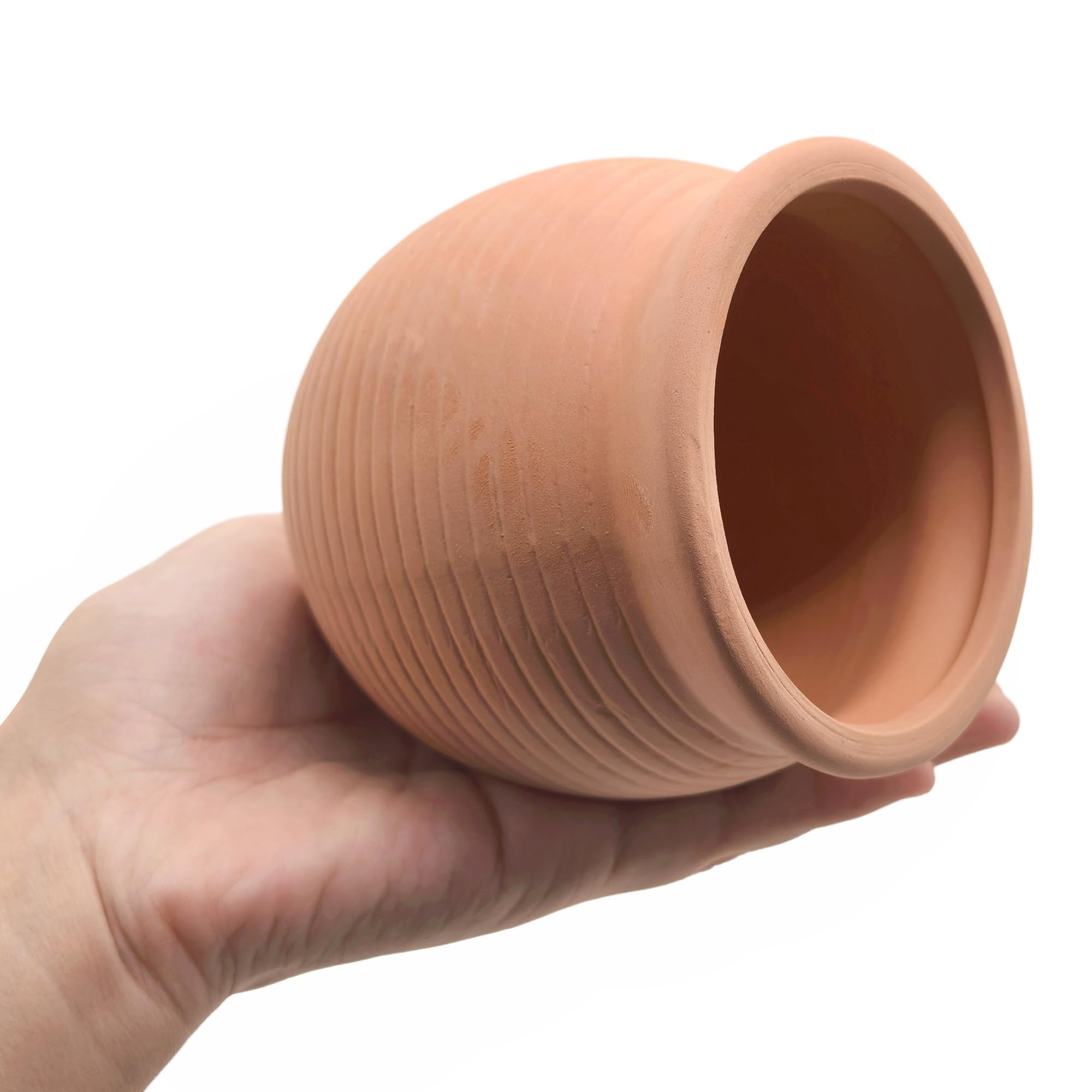 Ensemble décoratif M2cbridge: habitat attrayant pour poissons et crevettes.
