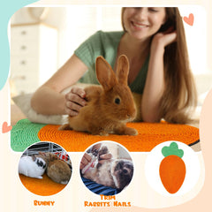 Maasechs tapis grattage ample-espace lapin, offre espace pour gratter et jouer