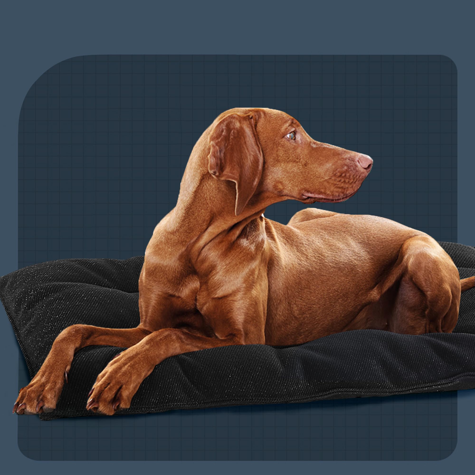 Tapis MABOZOO universel pour diverses cages.