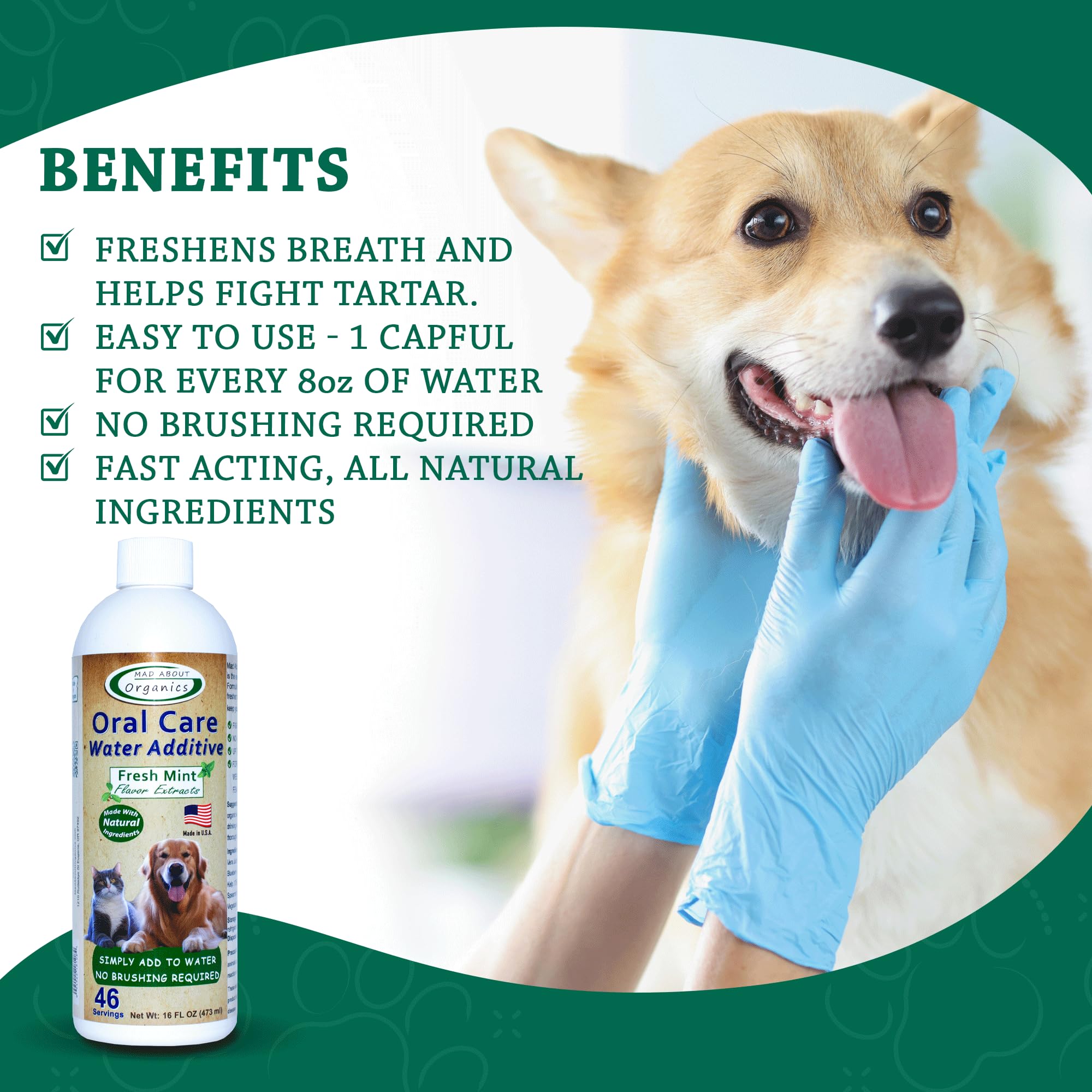 Mad About Organics eau additif dentaire chien dans bol favorisant boisson saine
