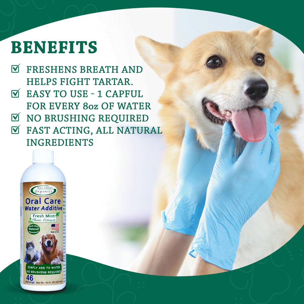 Mad About Organics eau additif dentaire chien dans bol favorisant boisson saine