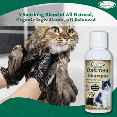 Mad About Organics Shampoo Avoine Chat : pelage lisse après le lavage.