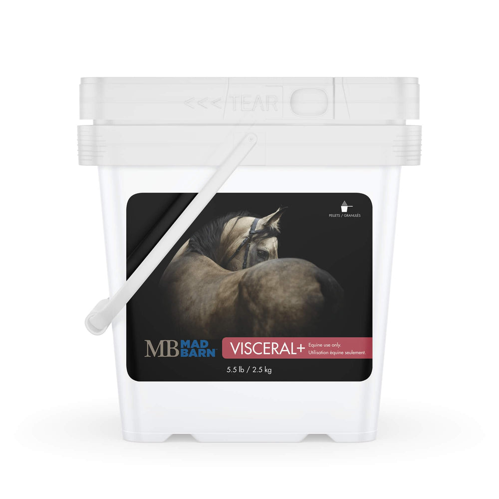 Mad Barn Visceral+ : bouteille pratique pour soutien digestif du cheval