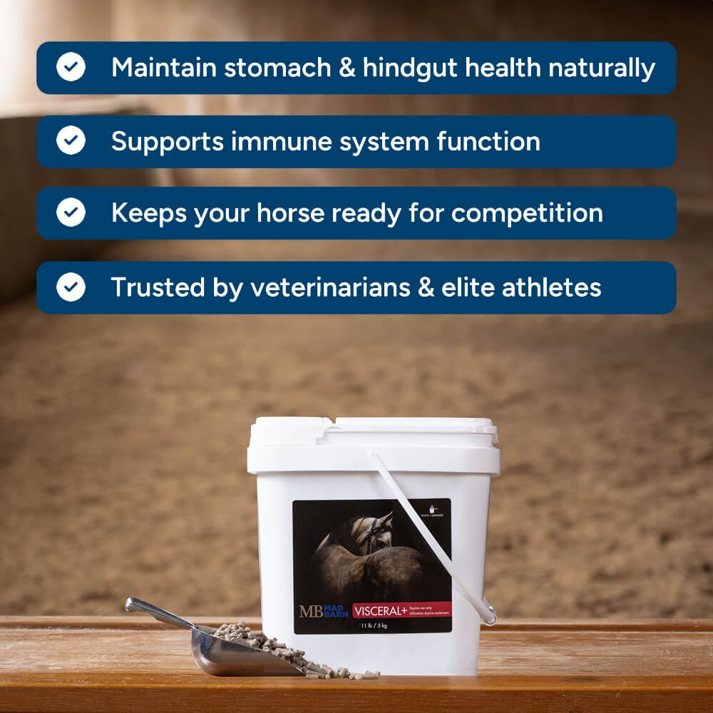 Dosage simple de Visceral+ pour une alimentation harmonieuse