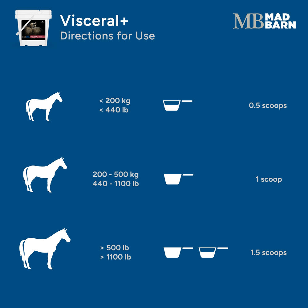 Cheval utilisant Visceral+ dans sa routine quotidienne