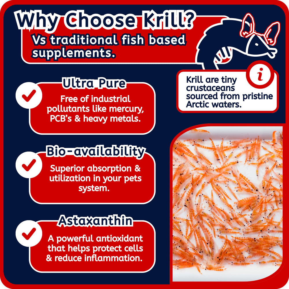 Gros plan sur la texture moelleuse des friandises Maddie's krill
