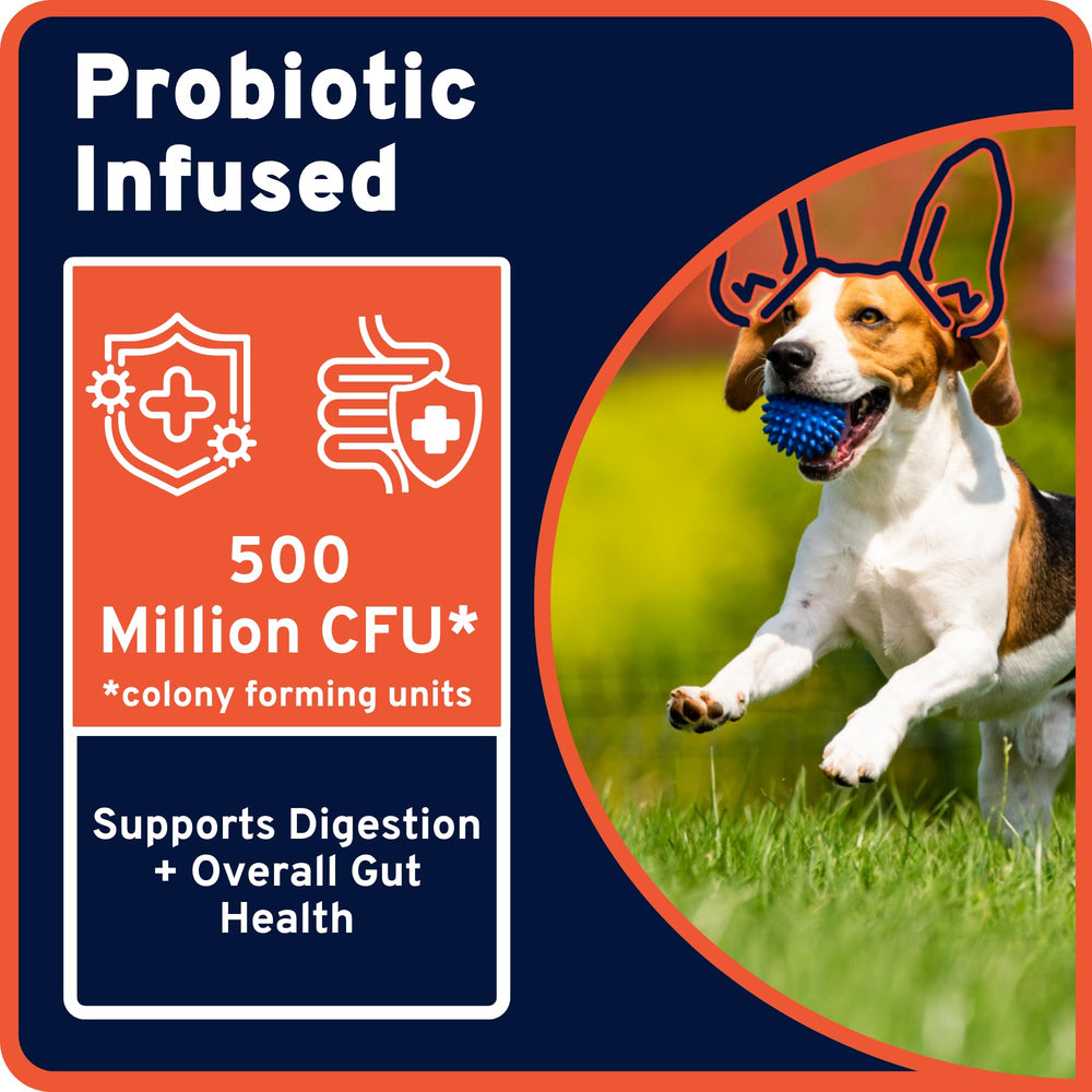 Probiotiques inclus: 500 millions CFU par portion.
