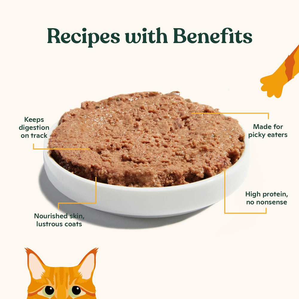 Made by Nacho bouillon d'os chat, goût riche et apport hydratant.