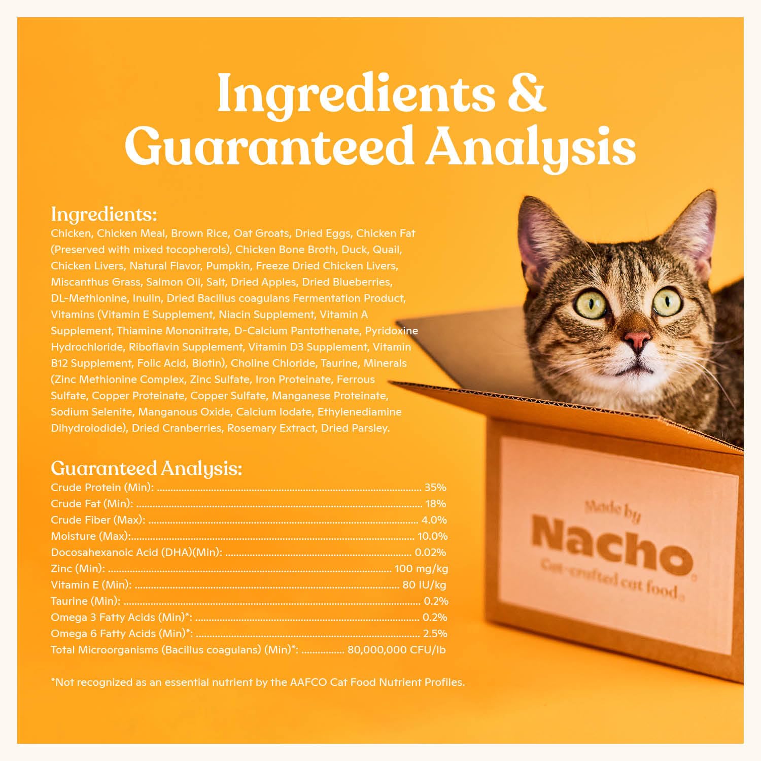Prébiotiques et fibres avec potiron et canneberges pour digestion Made by Nacho