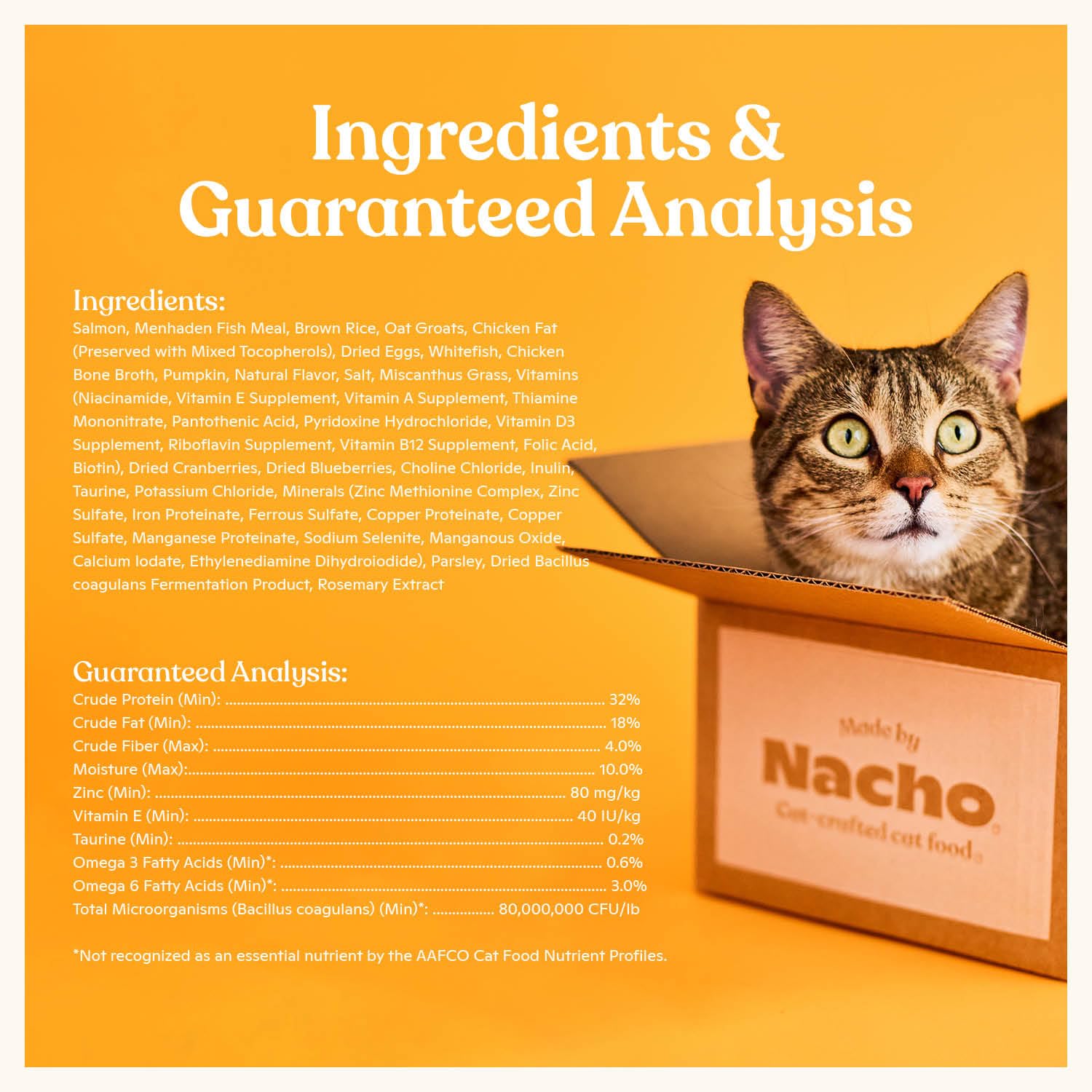 Croquettes chat avec prébiotiques et probiotiques pour digestion équilibrée.