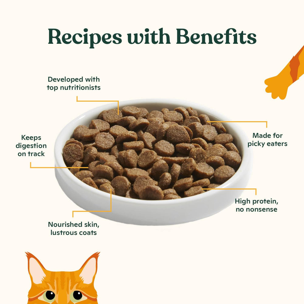 Croquettes chat saumon citrouille, texture croquante et appétente pour chat exigeant.