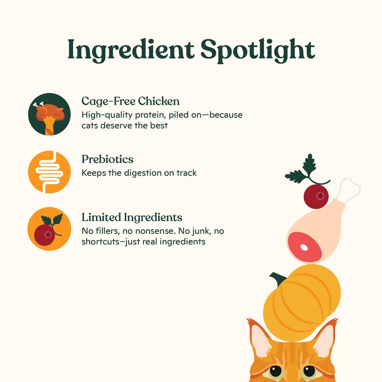Morceaux de pommes, carottes et citrouille — ingrédients naturels pour le goût.