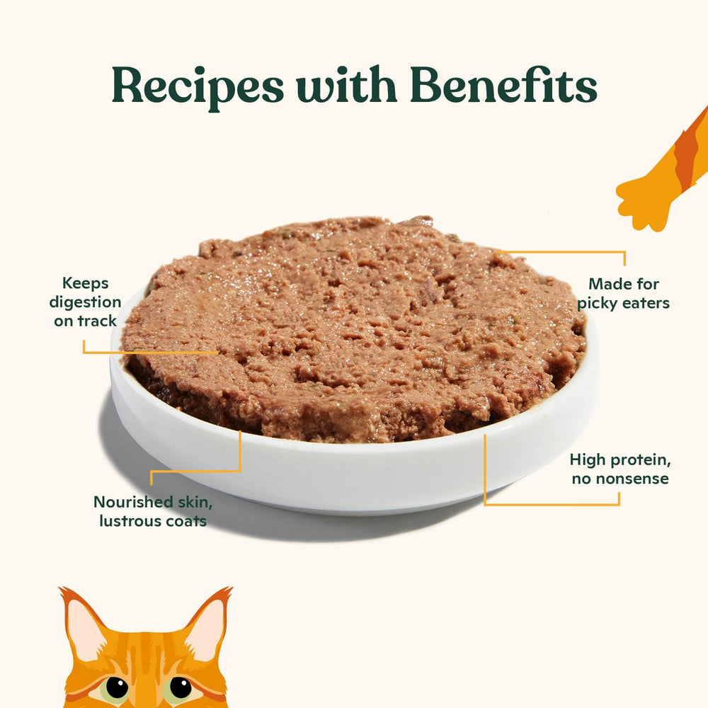 Pâté chat Made by Nacho dinde : sans céréales et ingrédients limités.