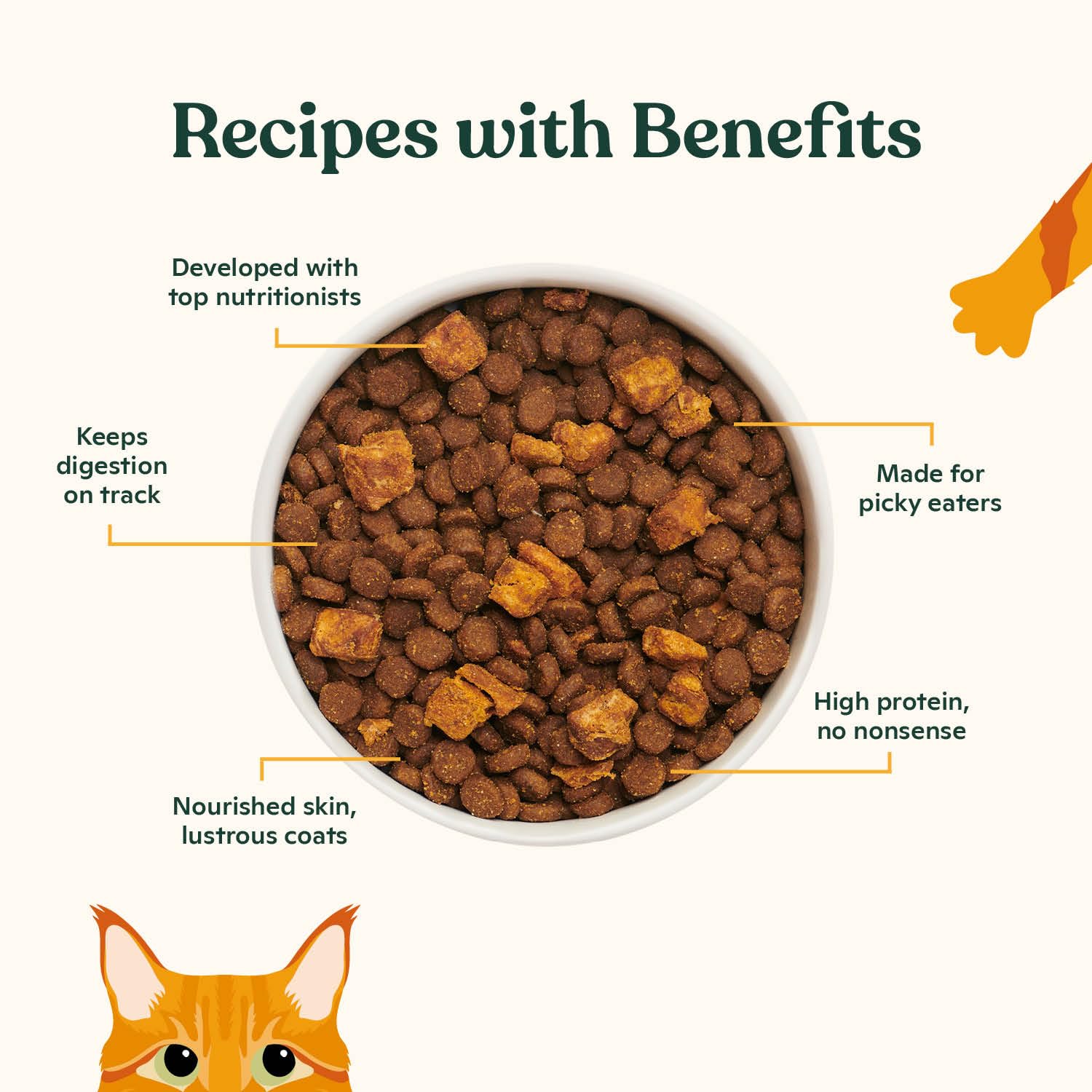 Mélange protéiné élevé pour chats, saveur et vitalité potentielles.