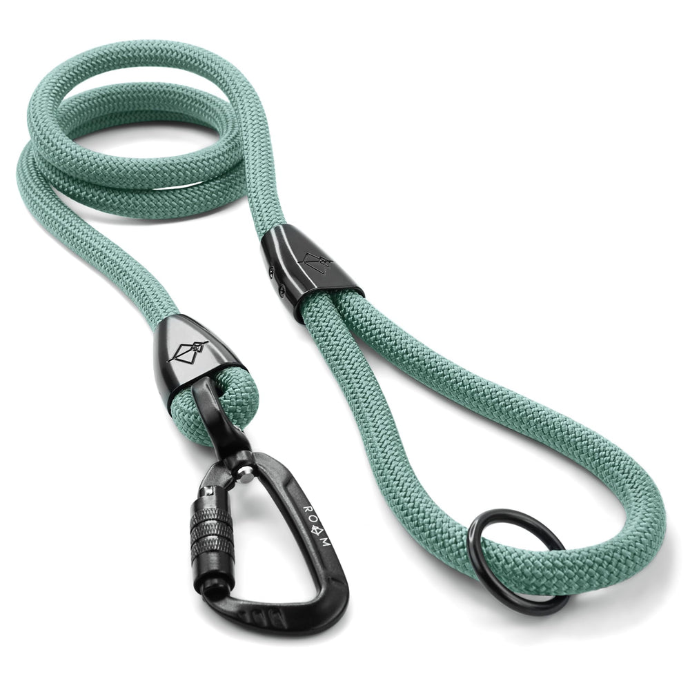 MADE TO ROAM Premium Explorer Laisse: visuel laisse-corde-d-alpinisme, idéale pour randonnées.