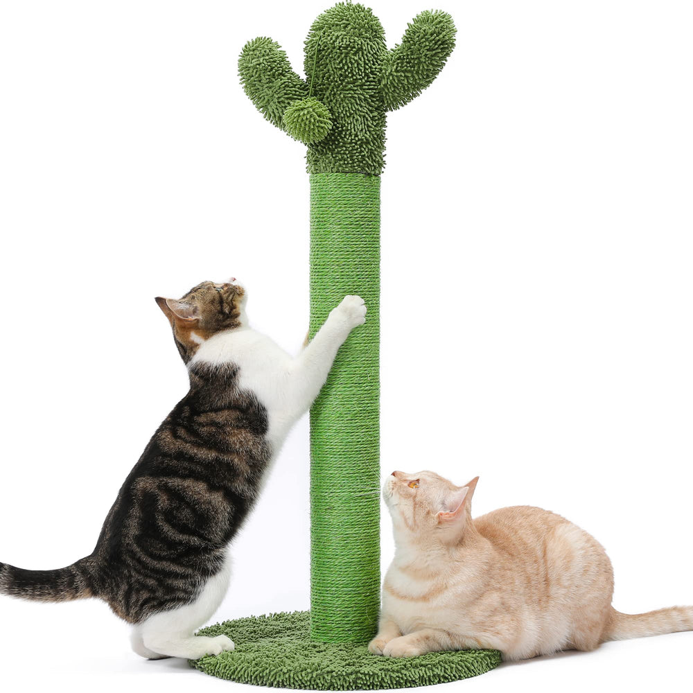Made4Pets arbre-gratter cactus 34 pouces vert, pratique pour chats et protection du mobilier.