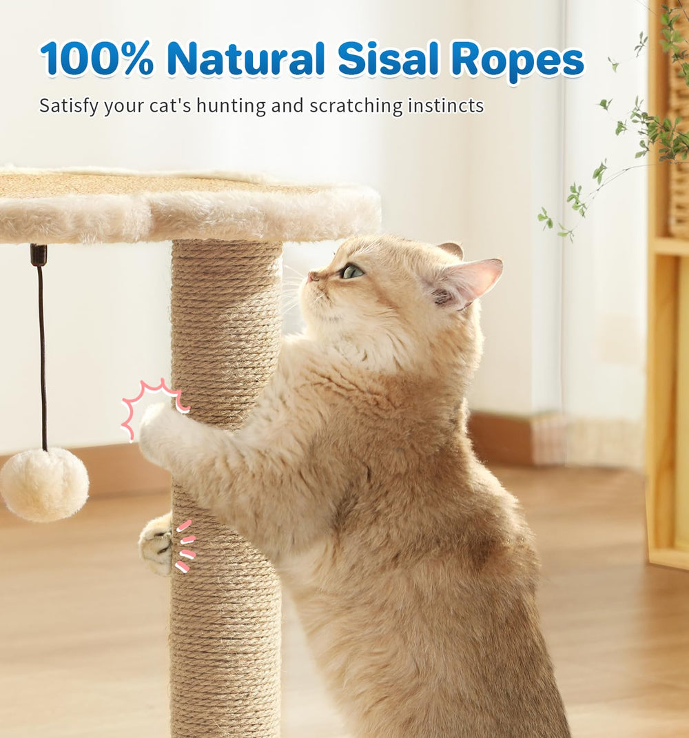 MADE 4 PETS balles-trace-interactives: stimulation et coordination