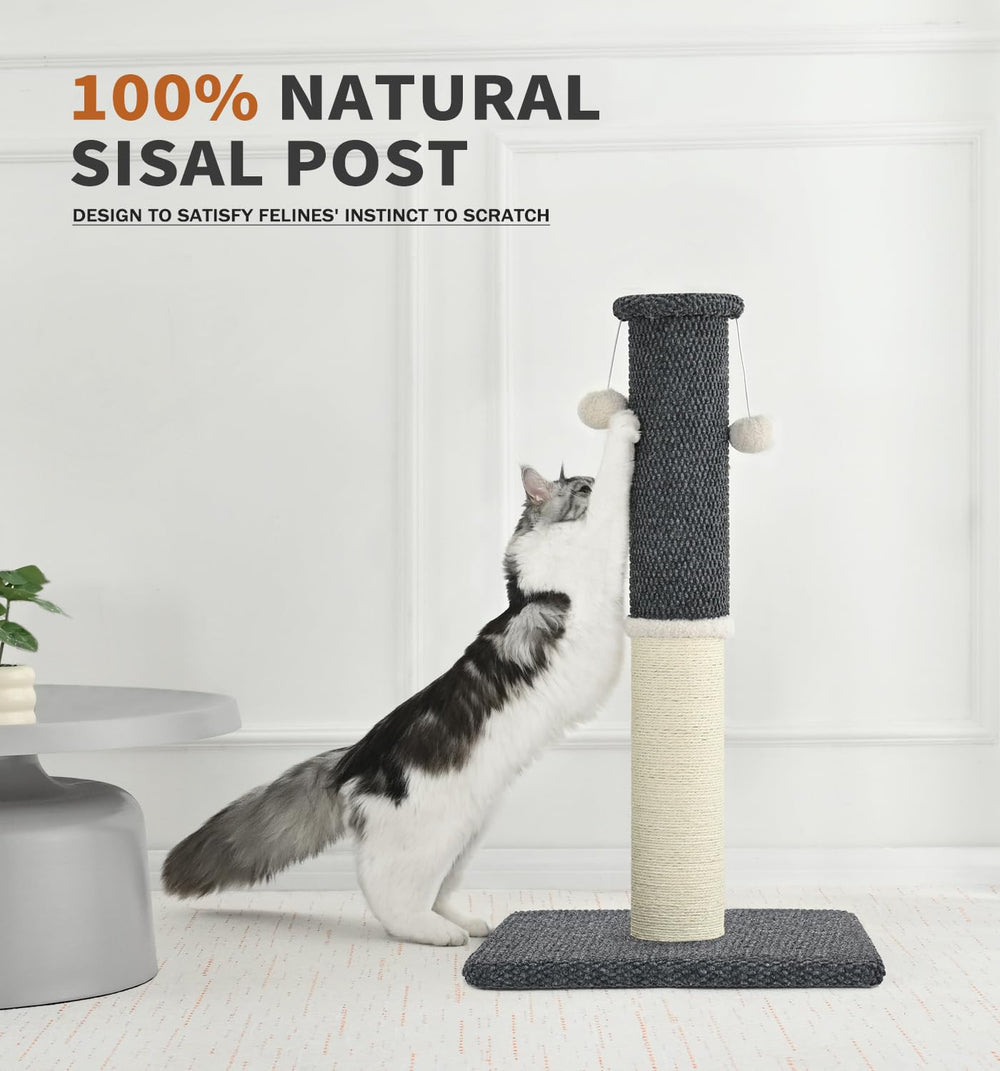 MADE 4 PETS base large protège les meubles et assure la stabilité