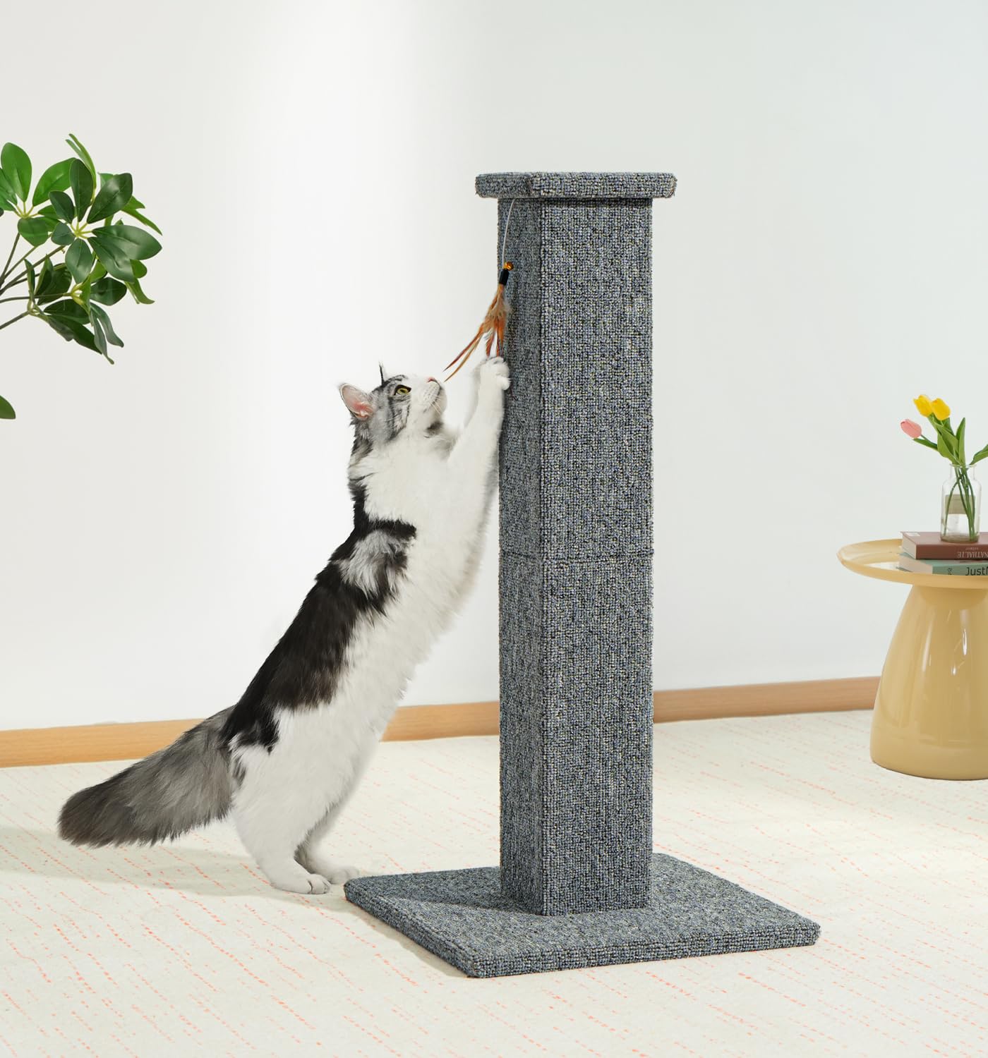 Zone d'étirement verticale avec stabilité Made4Pets encourage l'exercice quotidien.